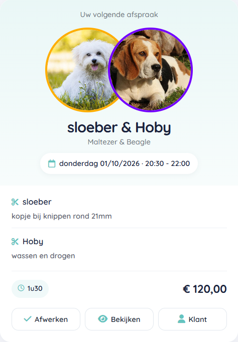 De kaart Uw volgende afspraak in Groomerplanet, met de behandelingen, het bedrag van 120 euro en de knop Afwerken